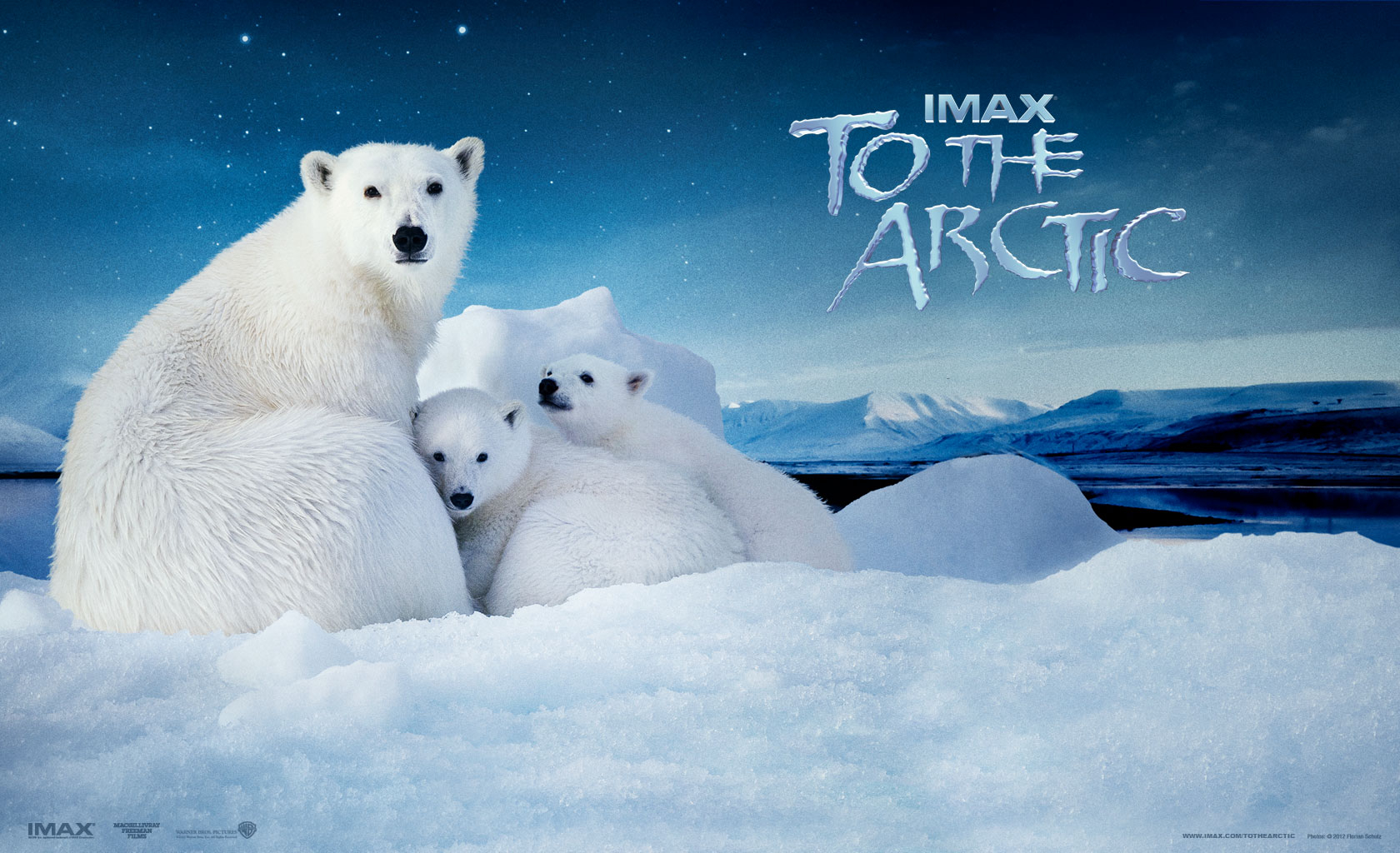 To the Arctic / To the Arctic (2012)