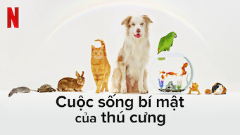 Xem Phim Cuộc sống bí mật của thú cưng, The Hidden Lives of Pets 2022 Xem Phim Cuộc sống bí mật của thú cưng, The Hidden Lives of Pets 2022