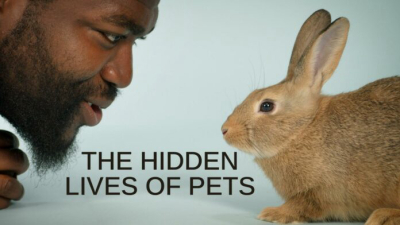 Cuộc sống bí mật của thú cưng, The Hidden Lives of Pets / The Hidden Lives of Pets (2022)