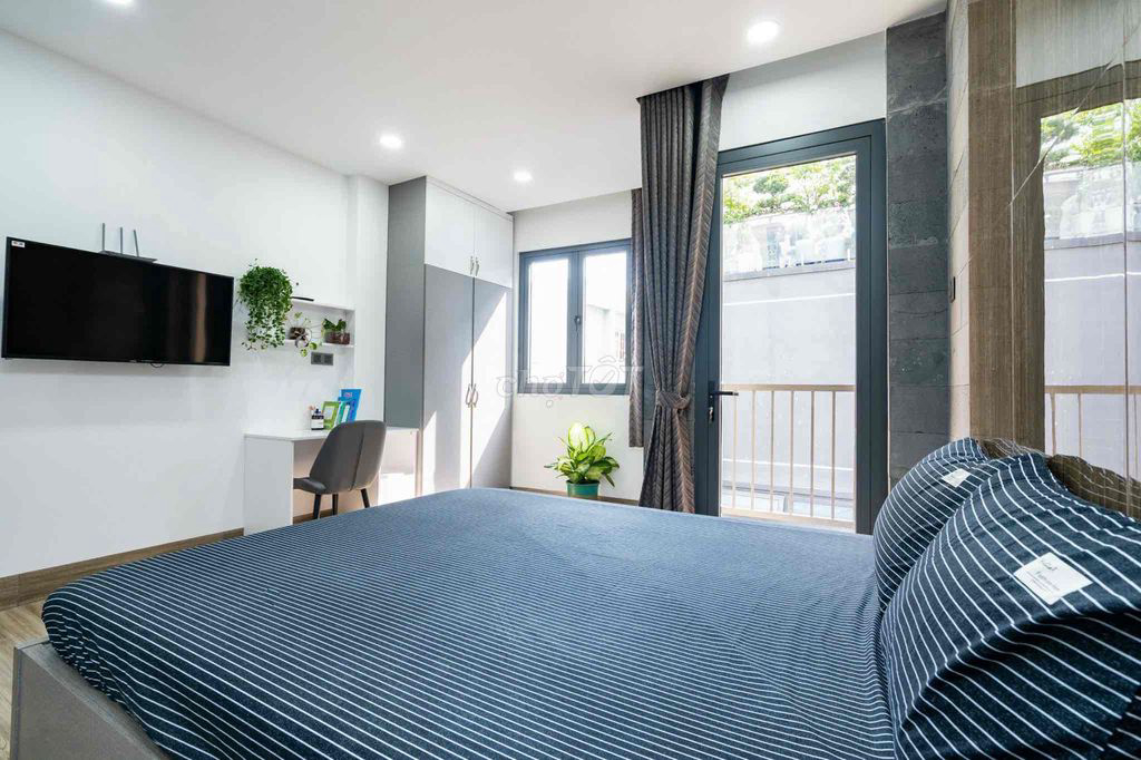 Xem Phim Căn hộ điên, Crazy Apartment 2018 Xem Phim Căn hộ điên, Crazy Apartment 2018