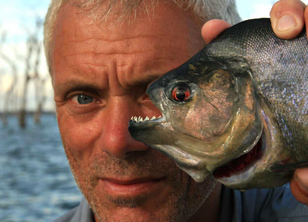 Xem Phim Thủy Quái (Phần 1), River Monsters (Season 1) 2009 Xem Phim Thủy Quái (Phần 1), River Monsters (Season 1) 2009