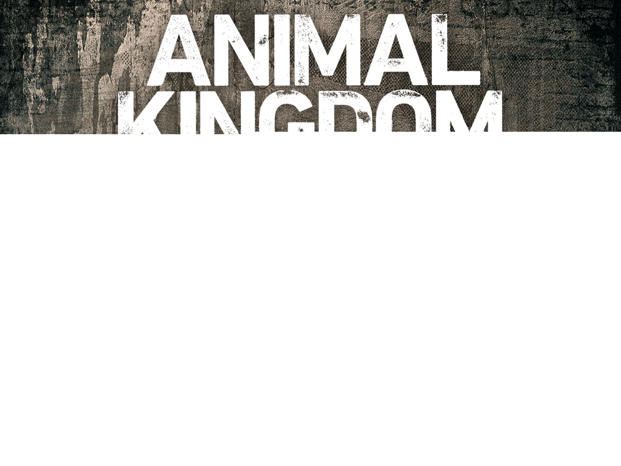 Xem Phim Vương quốc động vật (Phần 1), Animal Kingdom (Season 1) 2016 Xem Phim Vương quốc động vật (Phần 1), Animal Kingdom (Season 1) 2016