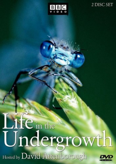 Life in The Undergrowth / Life in The Undergrowth (2005)