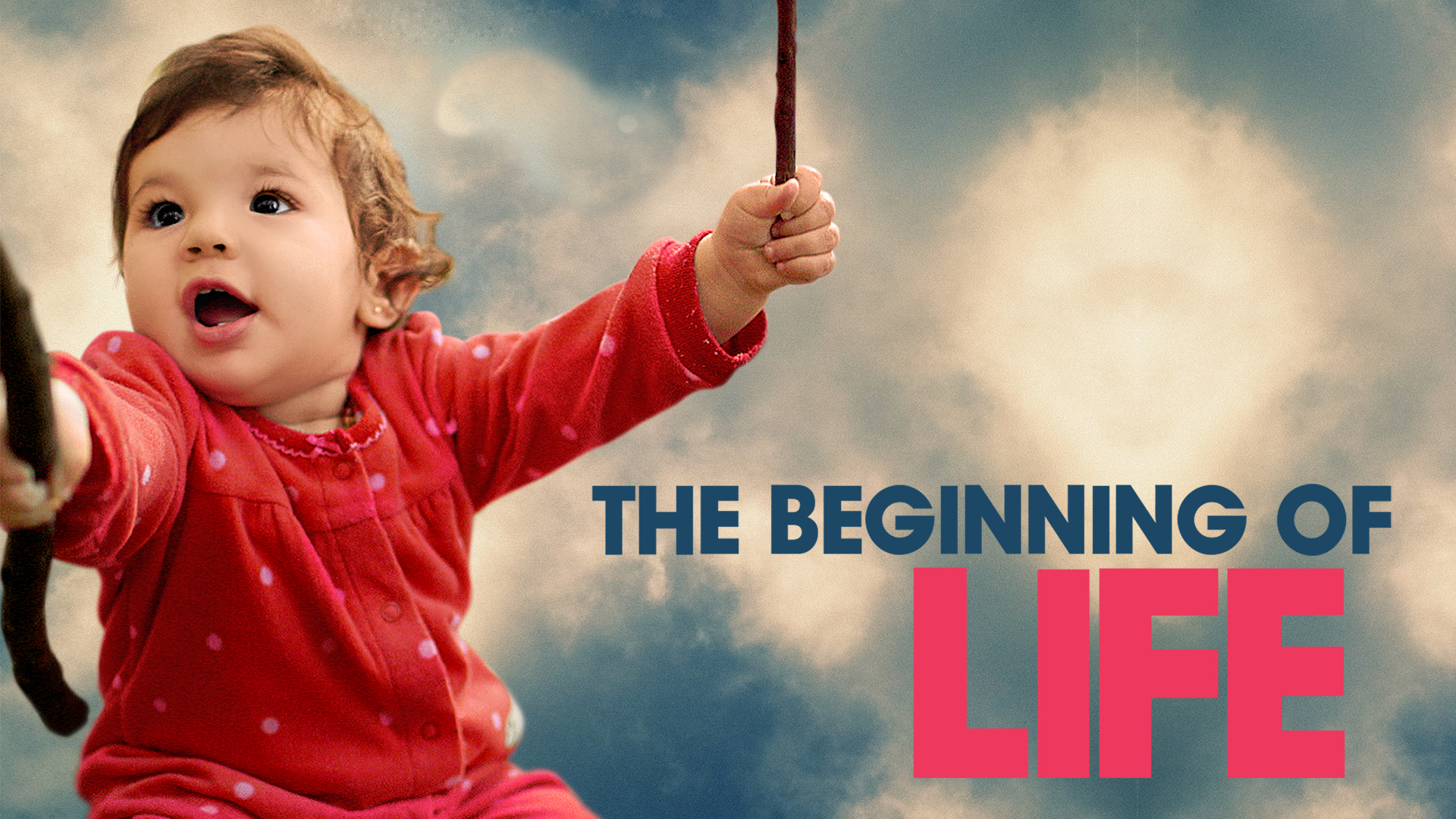 The Beginning of Life / The Beginning of Life (2016)