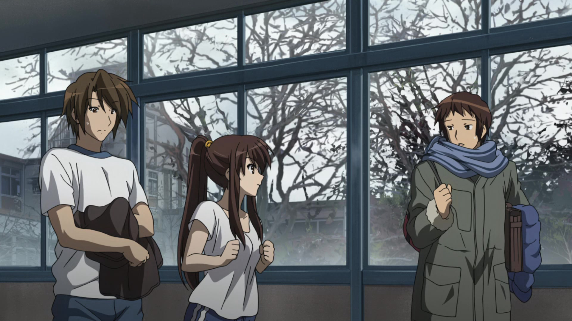 The Disappearance of Haruhi Suzumiya / The Disappearance of Haruhi Suzumiya (2010)