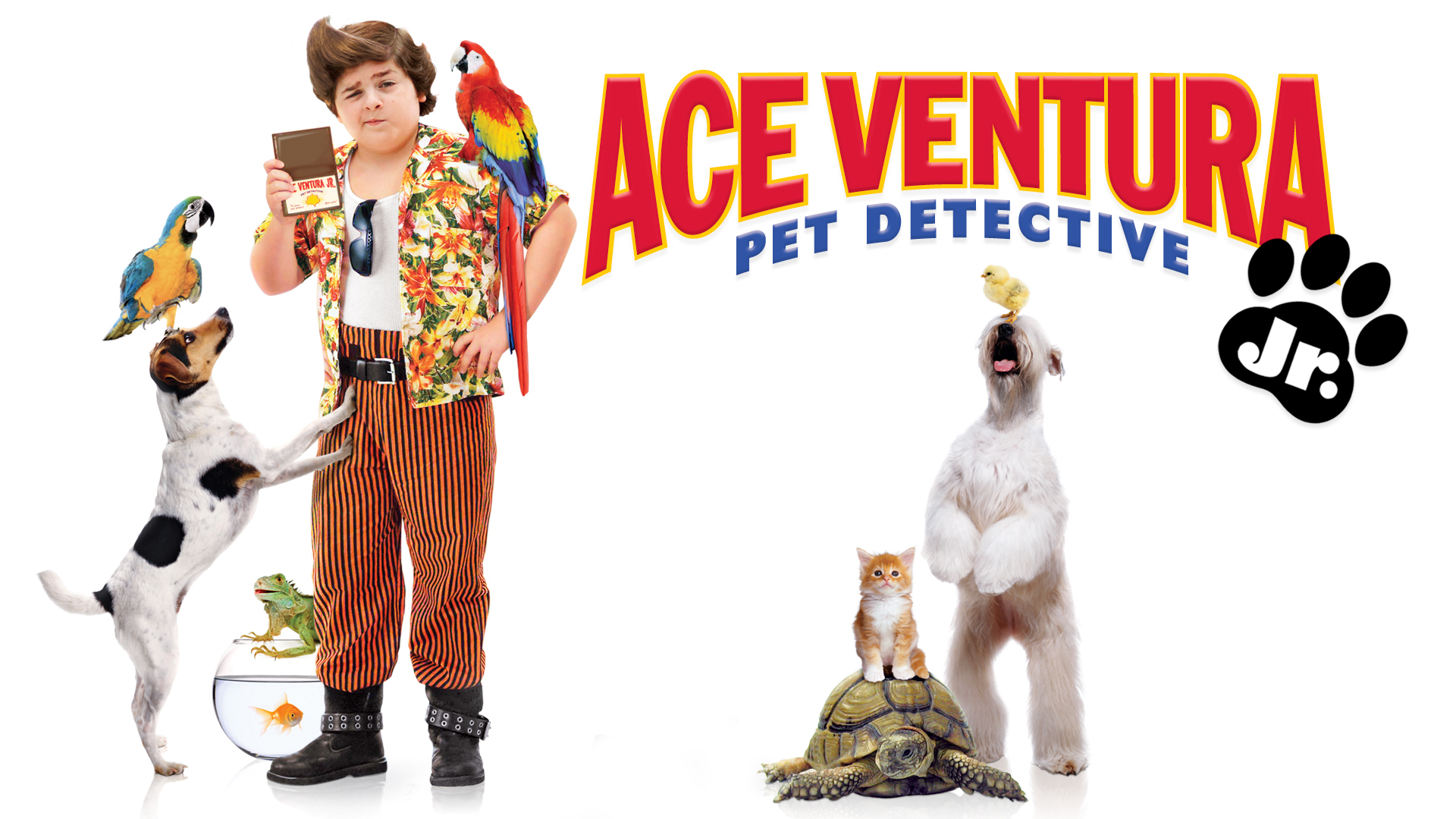 Ace Ventura: Pet Detective Jr. / Ace Ventura: Pet Detective Jr. (2009)