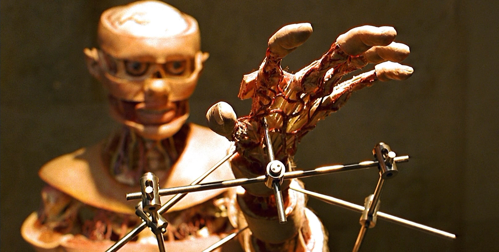 Xem Phim Giải phẫu, Anatomy 2000 Xem Phim Giải phẫu, Anatomy 2000