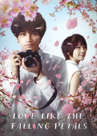 Love Like the Falling Petals / Love Like the Falling Petals (2022)