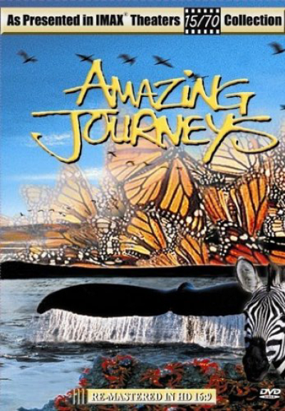 Amazing Journeys / Amazing Journeys (1999)
