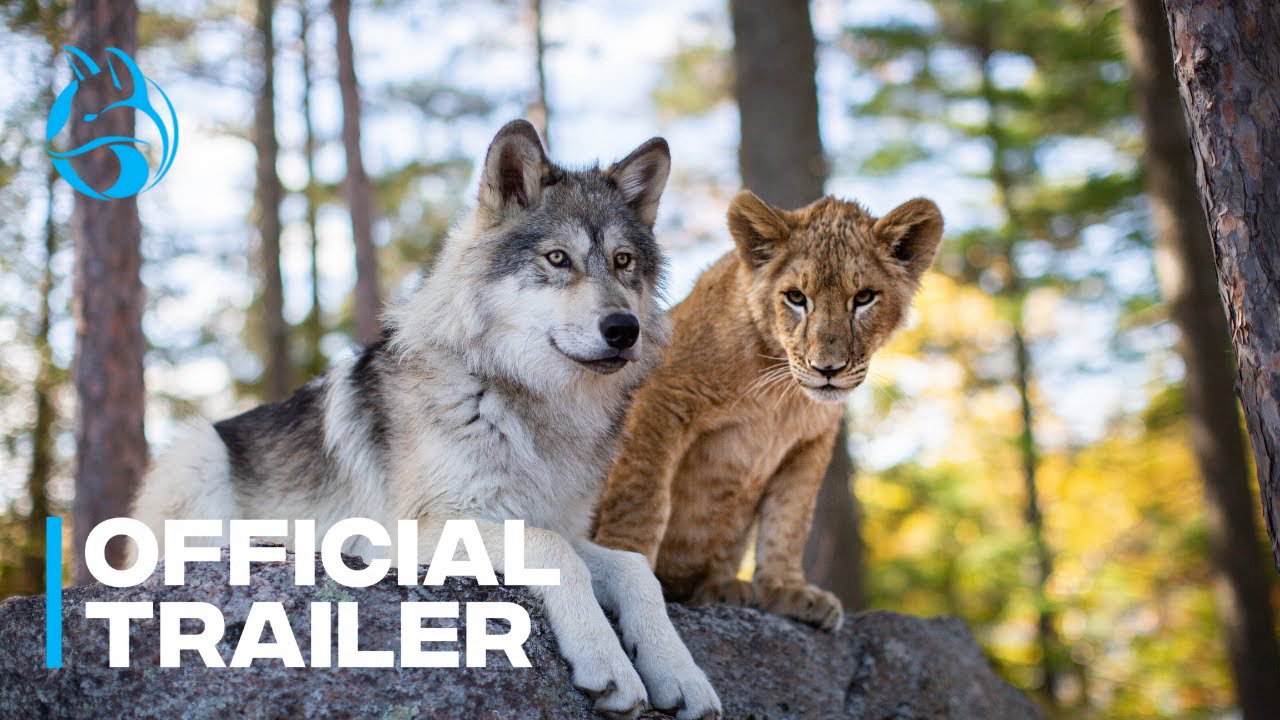 The Wolf and the Lion / The Wolf and the Lion (2021)