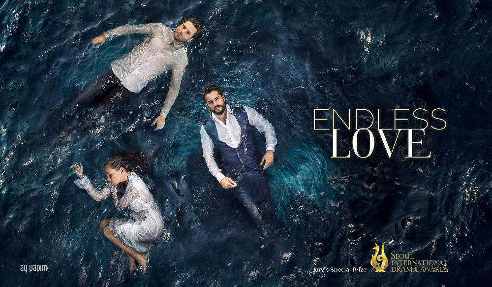 Endless Love / Tình yêu bất tận / Endless Love / Tình yêu bất tận (2015)