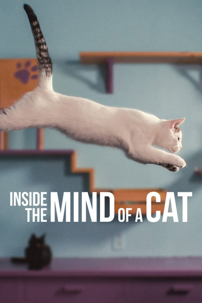 Những chú mèo nghĩ gì, Inside the Mind of a Cat / Inside the Mind of a Cat (2022)