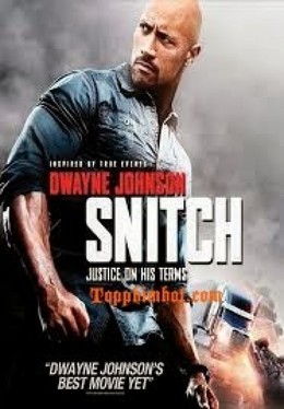 Snitch 2013 (2013)