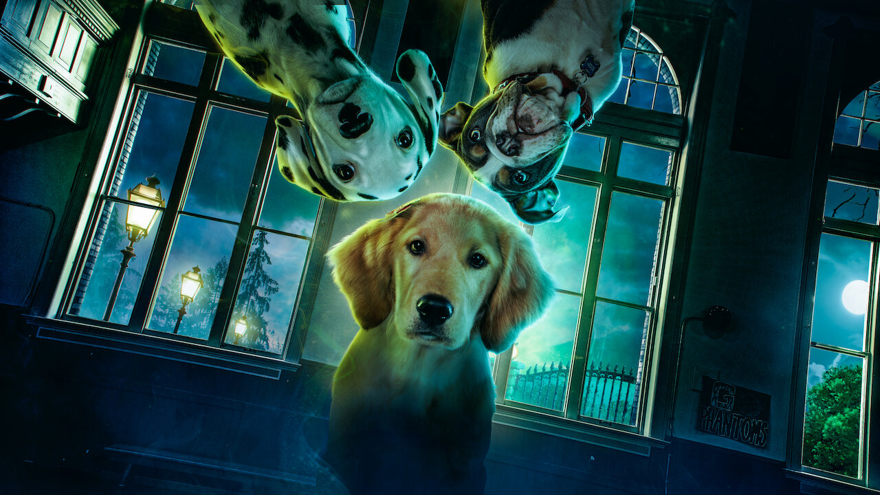 Xem Phim Phantom Pups (Phần 1), Phantom Pups (Season 1) 2022