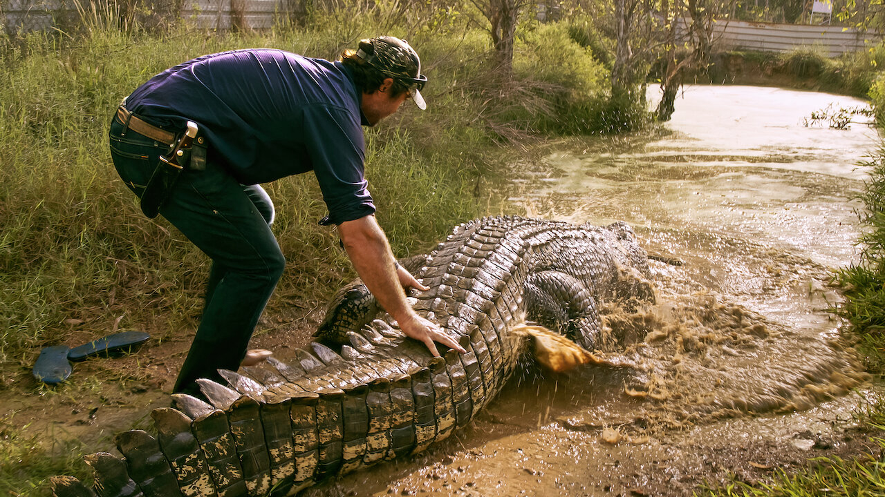 Xem Phim Lãnh địa cá sấu hoang, Wild Croc Territory 2022