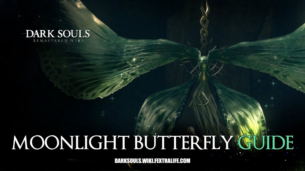 Moonlight Butterfly / Moonlight Butterfly (2022)