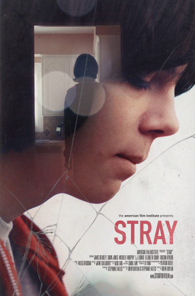 Stray / Stray (2017)