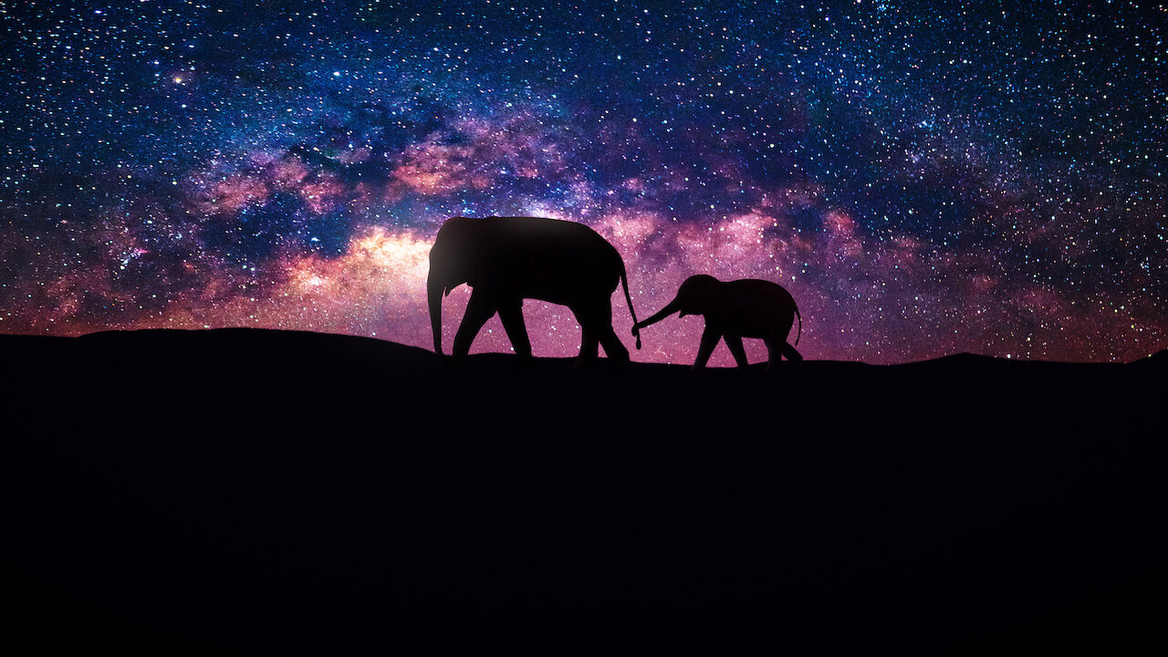 Xem Phim Vũ trụ, Our Universe 2022 Xem Phim Vũ trụ, Our Universe 2022