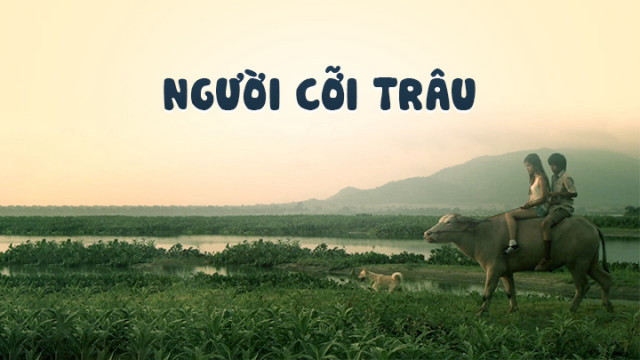 Xem Phim Người Cỡi Trâu, Buffalo Rider 2015