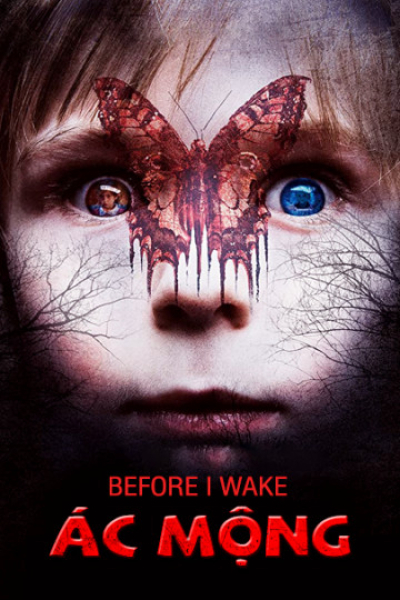 Before I Wake / Before I Wake (2017) Before I Wake / Before I Wake (2017)