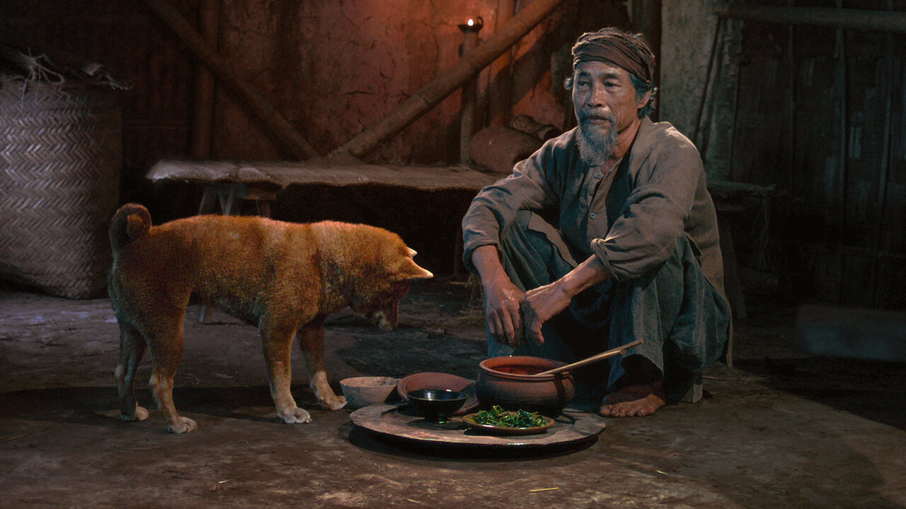 Xem Phim Cậu Vàng, The Old Man's Dog 2021 Xem Phim Cậu Vàng, The Old Man's Dog 2021