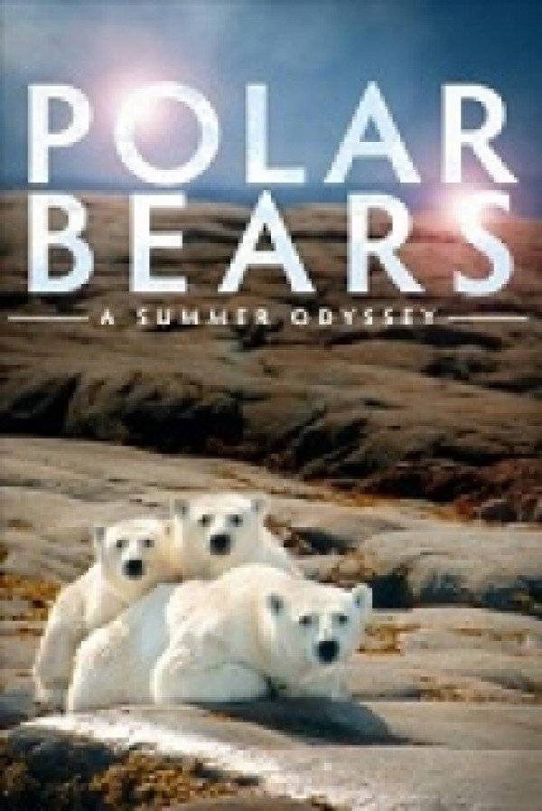 Xem Phim Gấu Bắc Cực, Polar Bears: A Summer Odyssey 2012