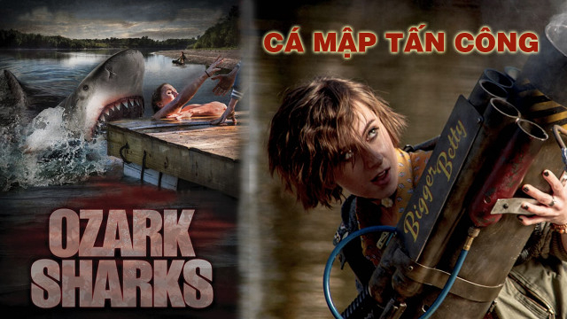 Xem Phim Cá Mập Tấn Công, Summer Shark Attack 2016 Xem Phim Cá Mập Tấn Công, Summer Shark Attack 2016