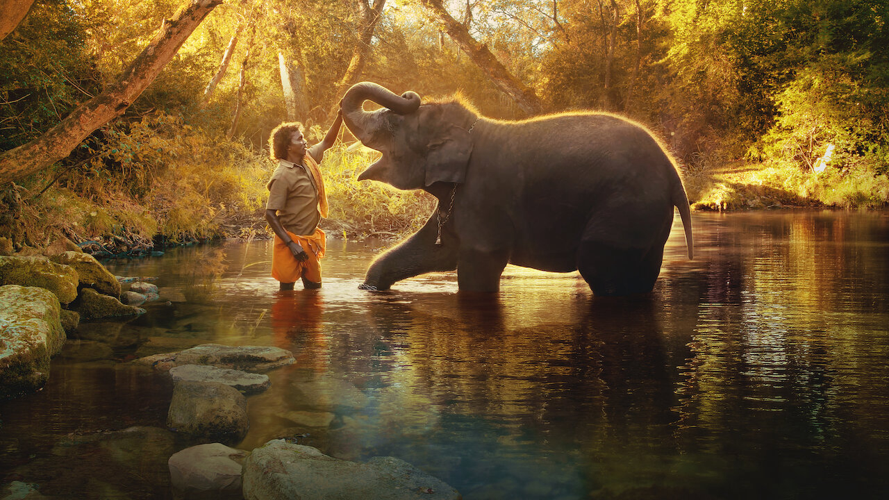 Xem Phim Người chăm voi, The Elephant Whisperers 2022