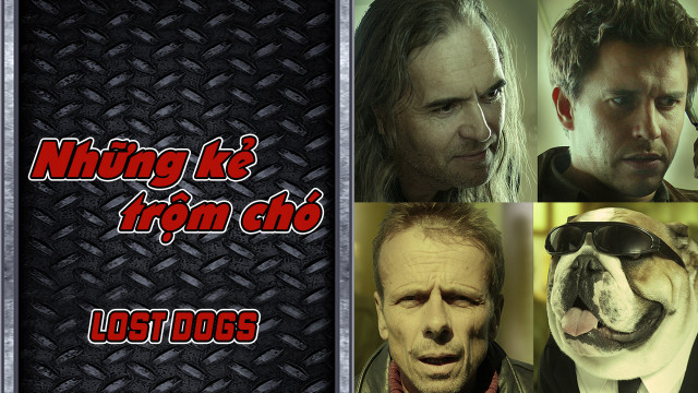Xem Phim Những Kẻ Trộm Chó, Lost Dogs 2005 Xem Phim Những Kẻ Trộm Chó, Lost Dogs 2005