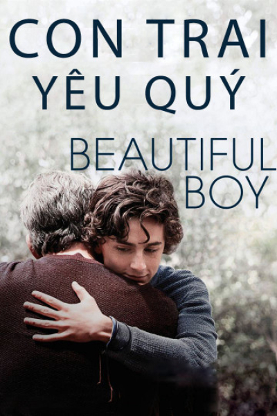 Con Trai Yêu Quý, Beautiful Boy / Beautiful Boy (2018)