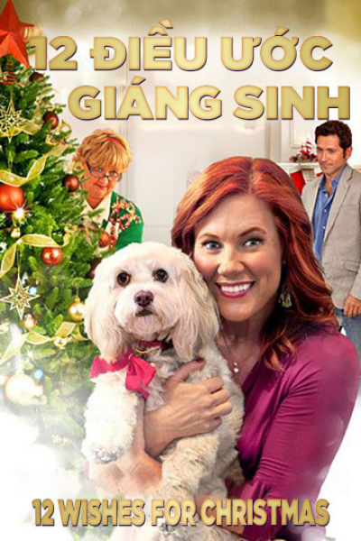 12 Điều Ước Giáng Sinh, 12 Wishes For Christmas / 12 Wishes For Christmas (2011)