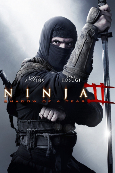 Ninja: Shadow of a Tear / Ninja: Shadow of a Tear (2013)