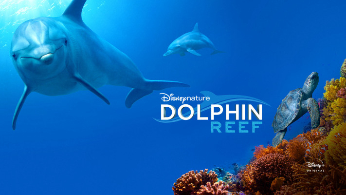 Xem Phim Rạn San Hô Cá Heo, Dolphin Reef 2018