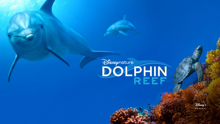 Xem Phim Rạn San Hô Cá Heo, Dolphin Reef 2018 Xem Phim Rạn San Hô Cá Heo, Dolphin Reef 2018
