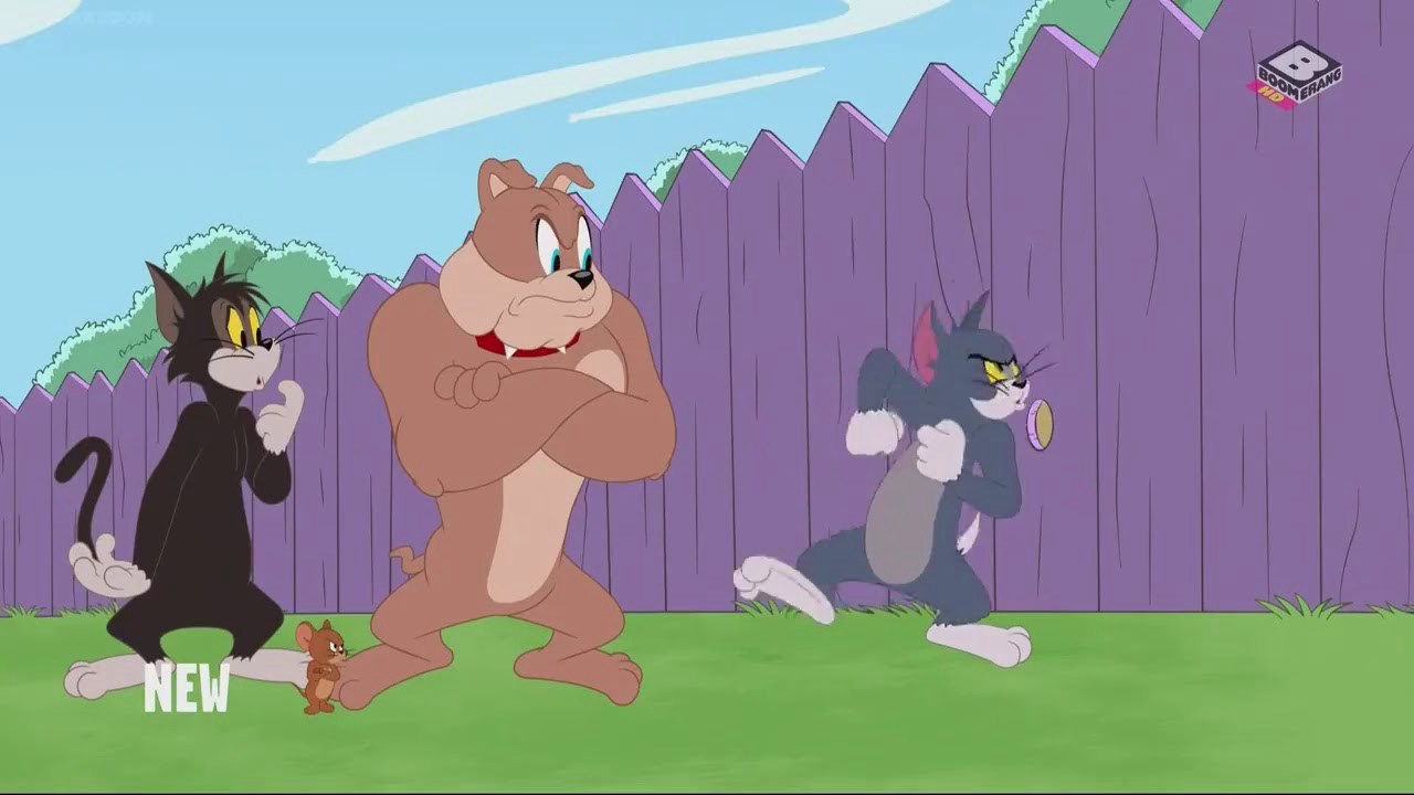 The Tom and Jerry Show (Season 3) / The Tom and Jerry Show (Season 3) (2014)