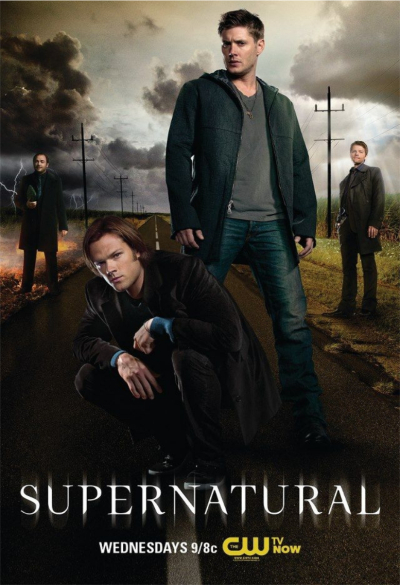 Supernatural (Season 8) / Supernatural (Season 8) (2010)