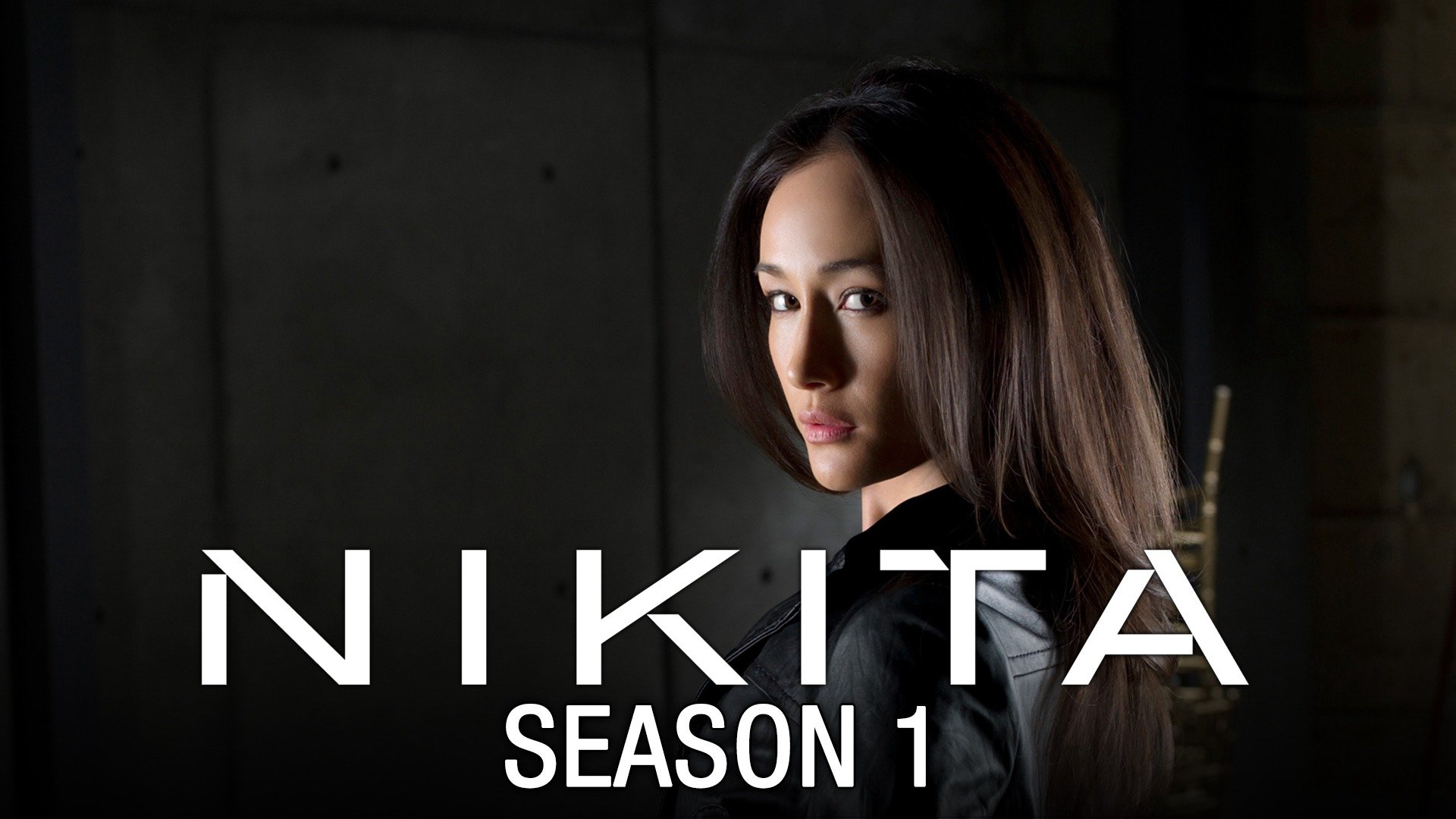 Nikita (Season 1) / Nikita (Season 1) (2010)