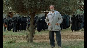 Xem Phim Through the Olive Trees, زیر درختان زیتون 1994 Xem Phim Through the Olive Trees, زیر درختان زیتون 1994