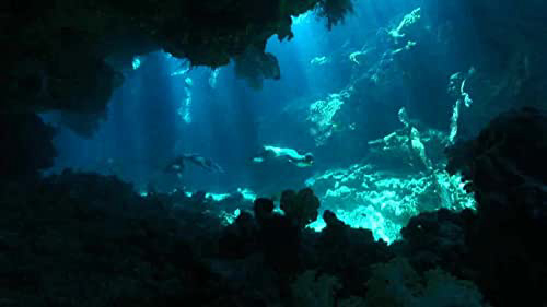 Xem Phim Nạn Săn Cá Heo, The Cove 2009 Xem Phim Nạn Săn Cá Heo, The Cove 2009