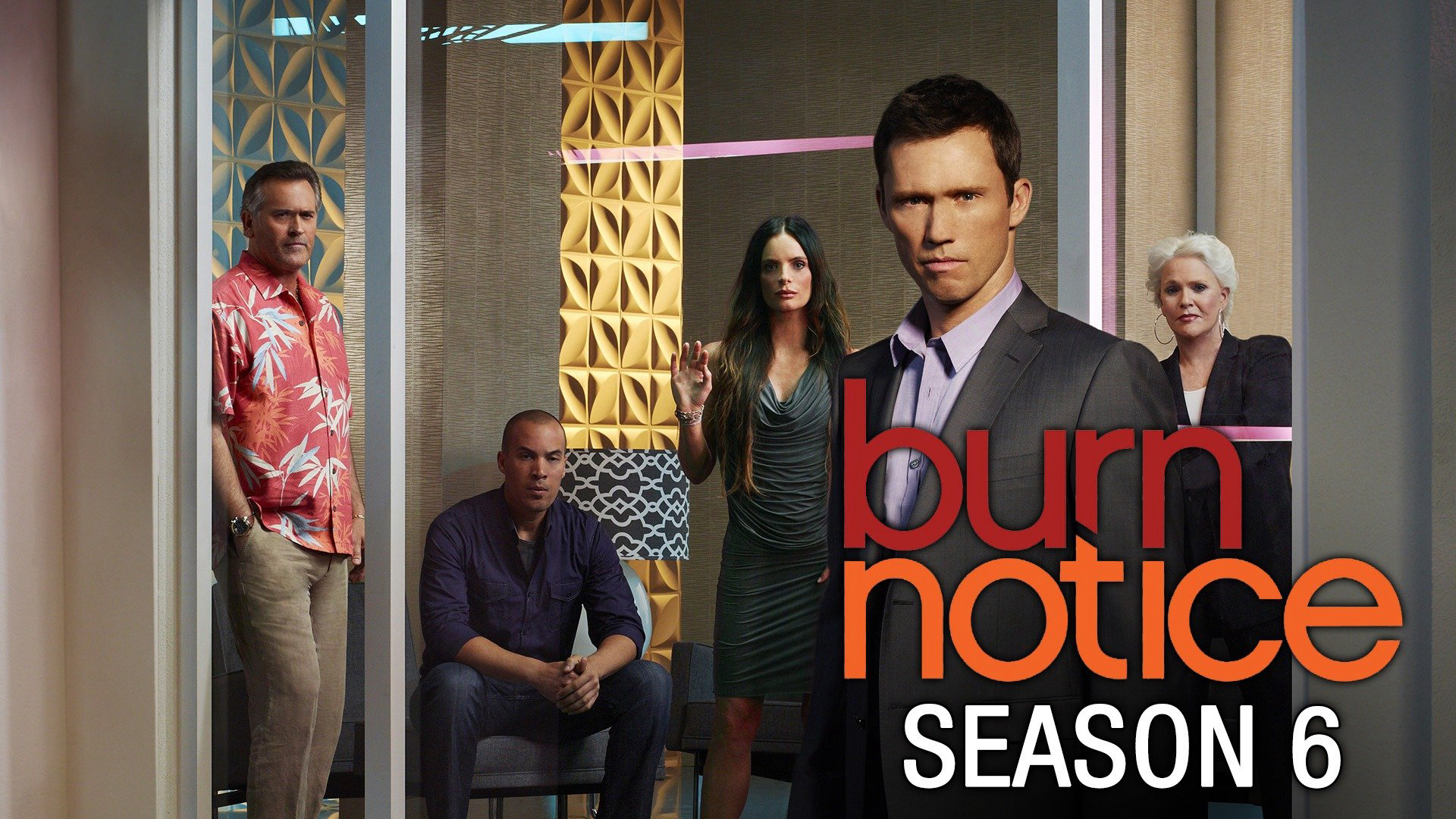 Burn Notice (Season 6) / Burn Notice (Season 6) (2012)