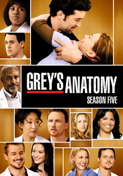 Grey's Anatomy (Season 5) / Grey's Anatomy (Season 5) (2008)