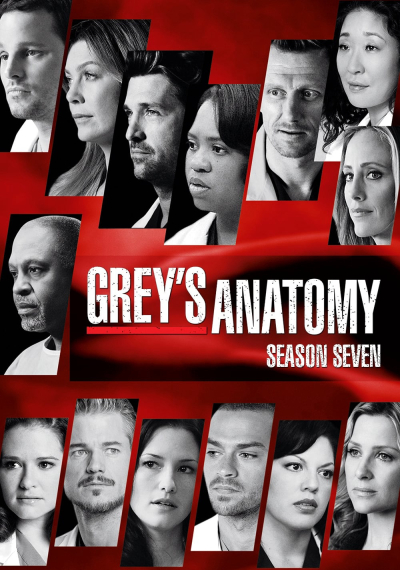 Grey's Anatomy (Season 7) / Grey's Anatomy (Season 7) (2010)