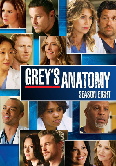 Grey's Anatomy (Season 8) / Grey's Anatomy (Season 8) (2011)