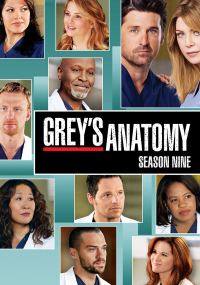 Grey's Anatomy (Season 9) / Grey's Anatomy (Season 9) (2012)