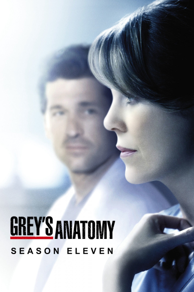 Ca Phẫu Thuật Của Grey (Phần 11), Grey's Anatomy (Season 11) / Grey's Anatomy (Season 11) (2014)