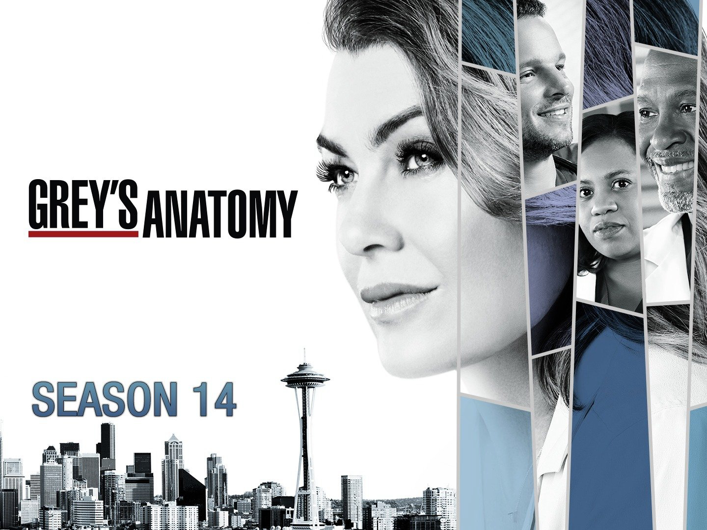 Grey's Anatomy (Season 14) / Grey's Anatomy (Season 14) (2017)