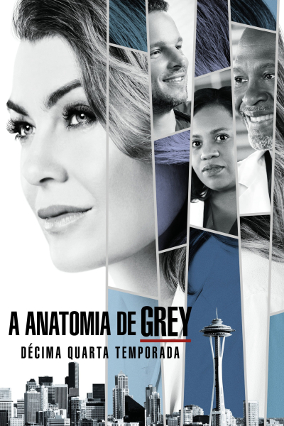 Ca Phẫu Thuật Của Grey (Phần 14), Grey's Anatomy (Season 14) / Grey's Anatomy (Season 14) (2017)