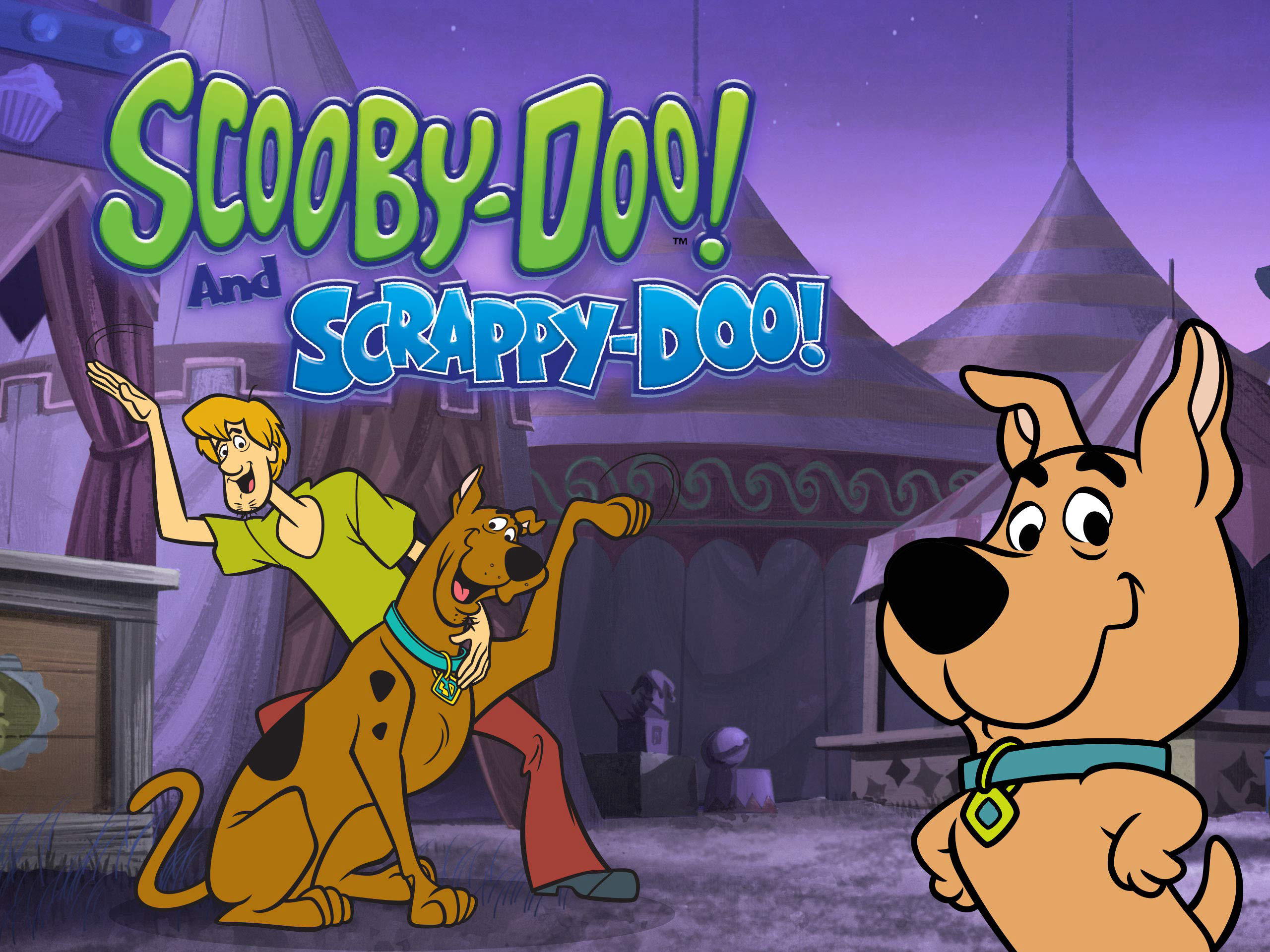 Scooby-Doo and Scrappy-Doo (Season 6) / Scooby-Doo and Scrappy-Doo (Season 6) (1984)