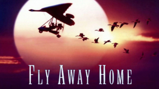 Xem Phim CHẮP CÁNH BAY XA, Fly Away Home 1996 Xem Phim CHẮP CÁNH BAY XA, Fly Away Home 1996
