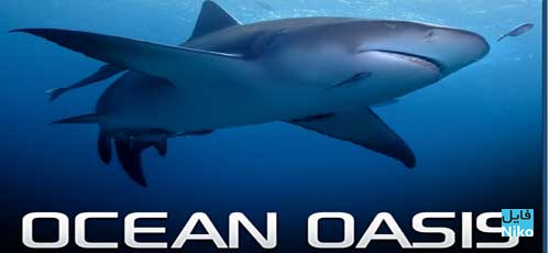 Ocean Oasis / Ocean Oasis (2000)